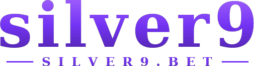 silver9 logo